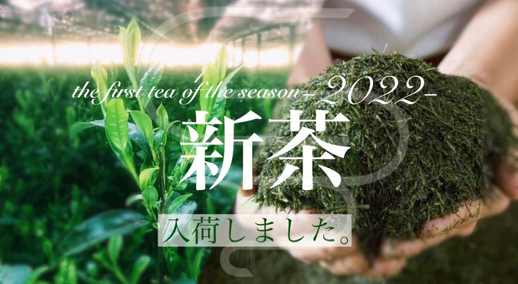 おすすめ日本茶
