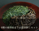 6種綠茶和烘焙綠茶樣品套裝