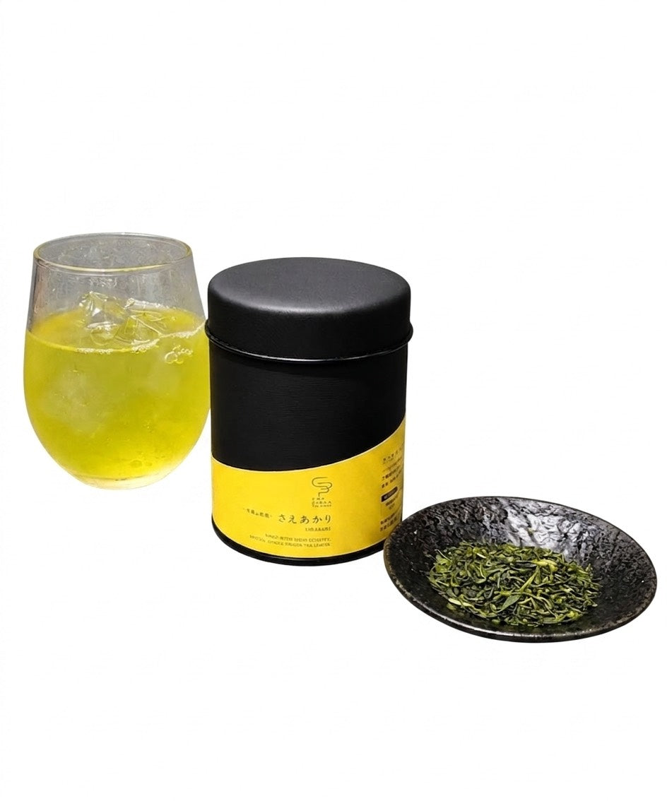 *2025新品茶* [推薦冷泡] 冴明 - 熊本益城 - 輕蒸煎茶 - 罐裝茶