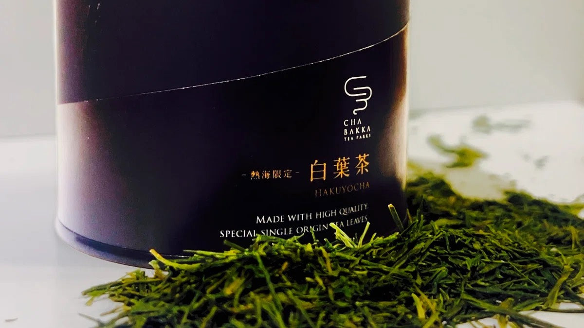 白葉茶‐静岡