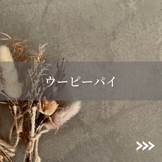 2種から選べる米粉ウーピーパイ