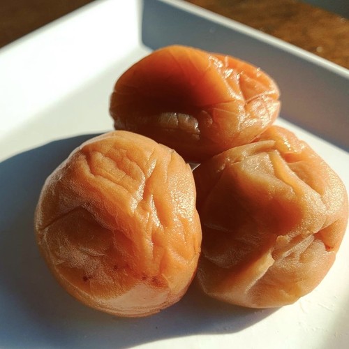 -みやぶん- ビール梅(紀州南高梅 )